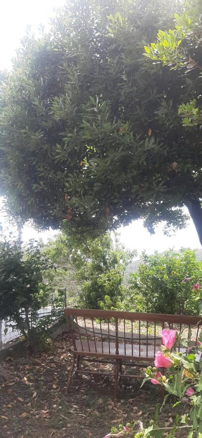 Villa Ca Du Stea Lavagna Esterno foto
