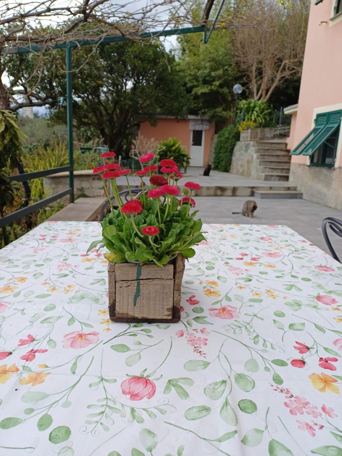 Villa Ca Du Stea Lavagna Esterno foto